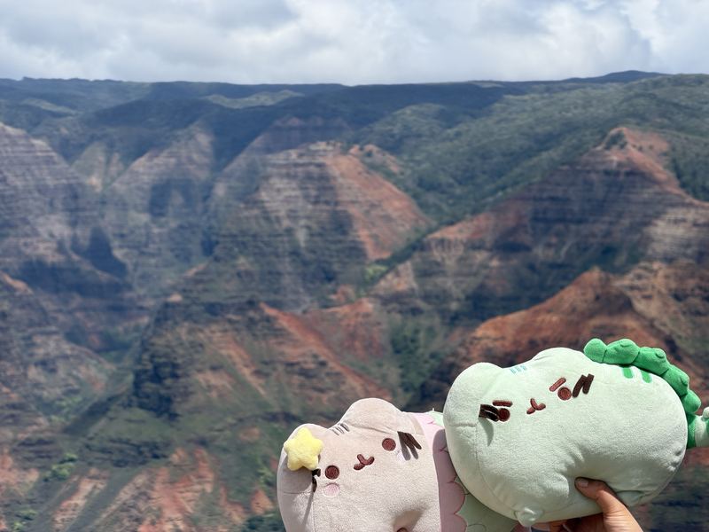 Pusheeno and Mersheen, a Pusheen mermaid plush with a yellow star, held up in front of a vast red and green canyon