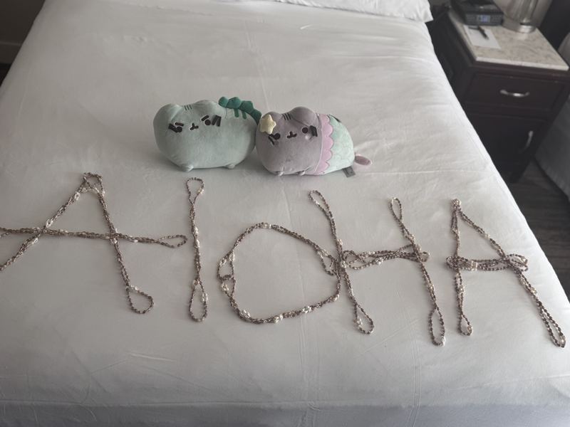 Pusheeno and Mersheen on a hotel bed with the word ALOHA spelled out in shell leis