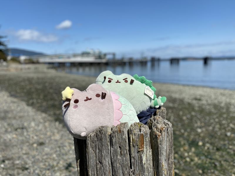 Pusheeno and Mersheen perched on a weathered wooden piling on a pebble beach, with a pier behind