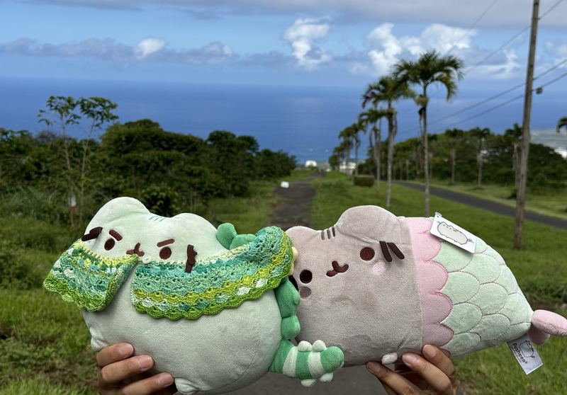 Pusheeno in his crocheted collar and Mersheen held up on a hill road lined with palm trees, with the ocean below