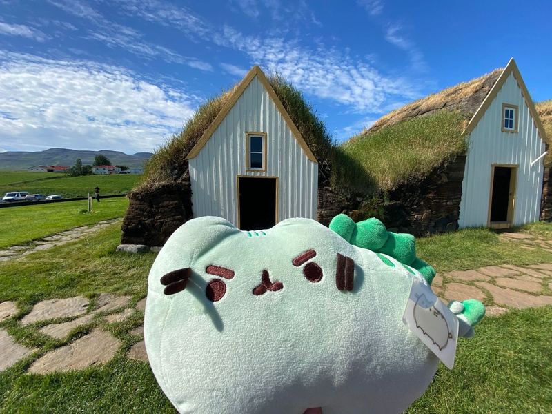 Pusheeno in front of two turf-roofed houses under a blue sky