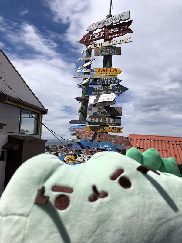 Pusheeno in front of a signpost crowded with arrows pointing to cities around the world