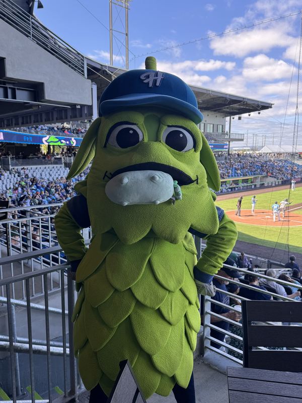 A giant green hop mascot at a baseball stadium with Pusheeno in its mouth