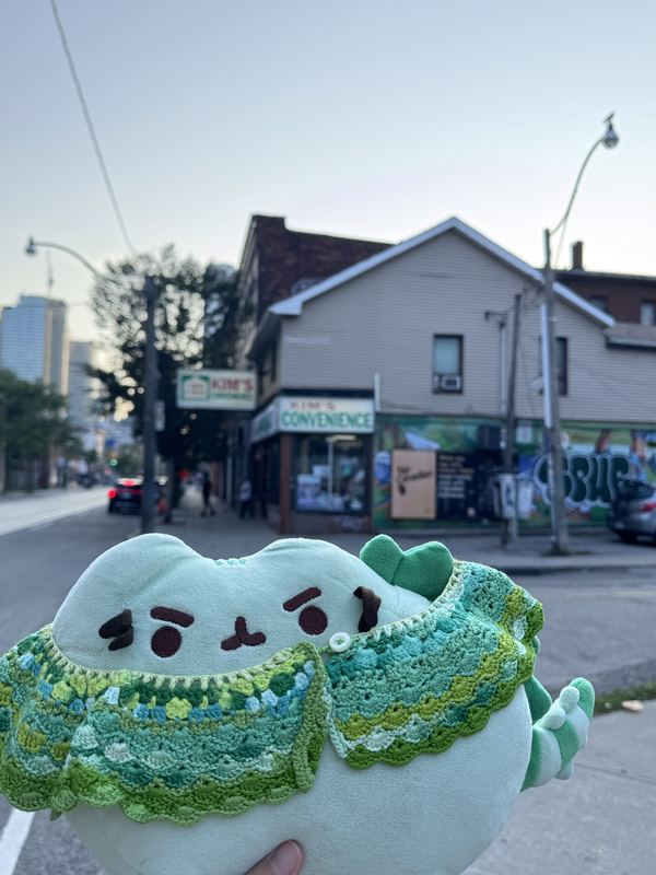 Pusheeno in a green crocheted collar in front of the Kim’s Convenience store