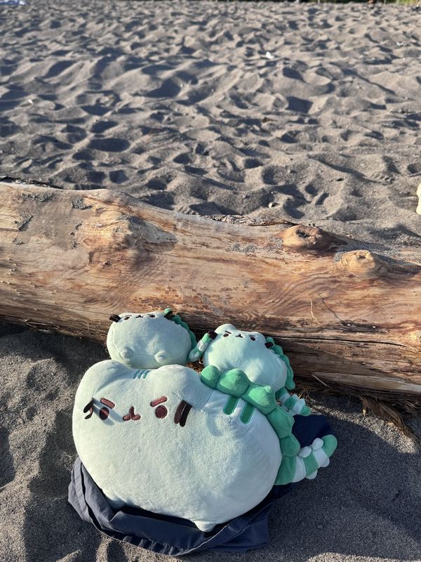 Pusheeno on a towel at the base of a driftwood log, with two tiny dinosaur-cat plushies climbing on him