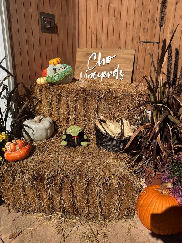 Pusheeno in his crocheted collar on a hay bale beside a Cho Vineyards sign, with pumpkins and Ricky the frog in his cape