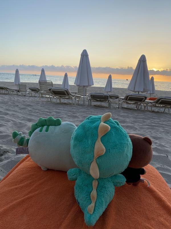 Pusheeno and Dino Brown lying on an orange towel on a beach, facing the sunset and a row of closed umbrellas