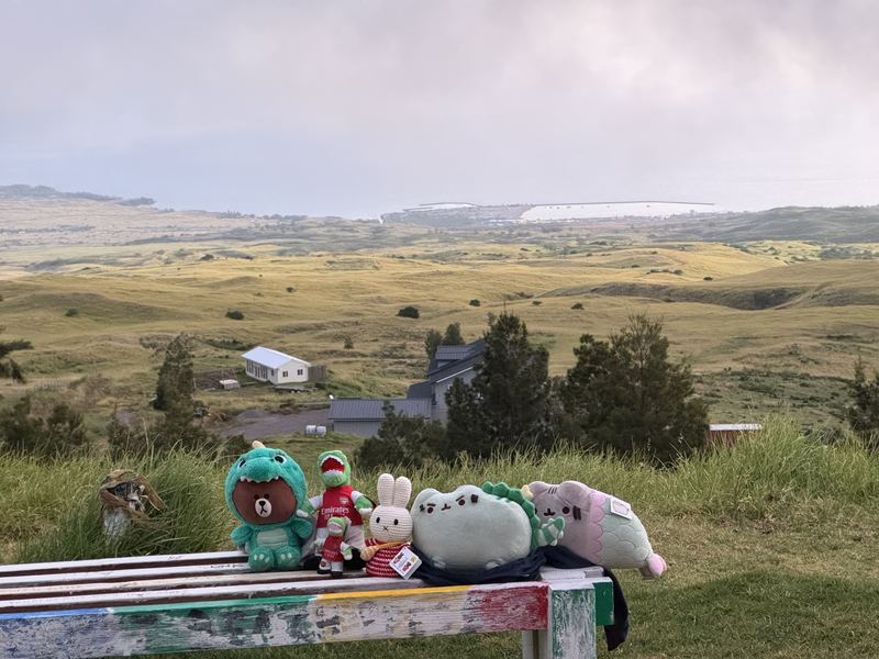 Five plush friends in a row on a painted bench, overlooking green hills that run down to the sea