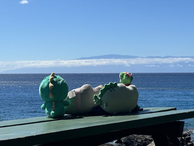 Dino Brown, Mersheen, Pusheeno and a small Gunnersaurus on a green picnic table, facing a deep blue sea