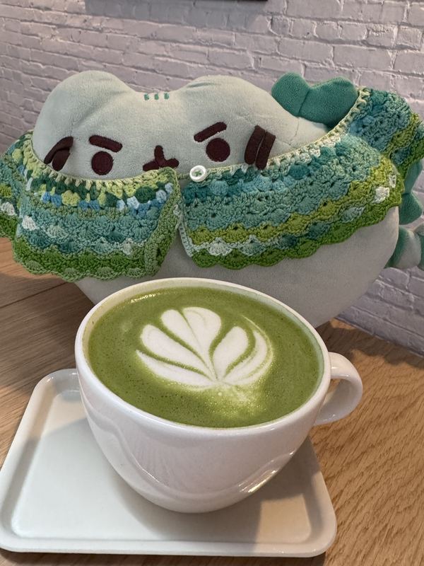 Pusheeno in his crocheted collar behind a matcha latte with tulip latte art, against a white brick wall