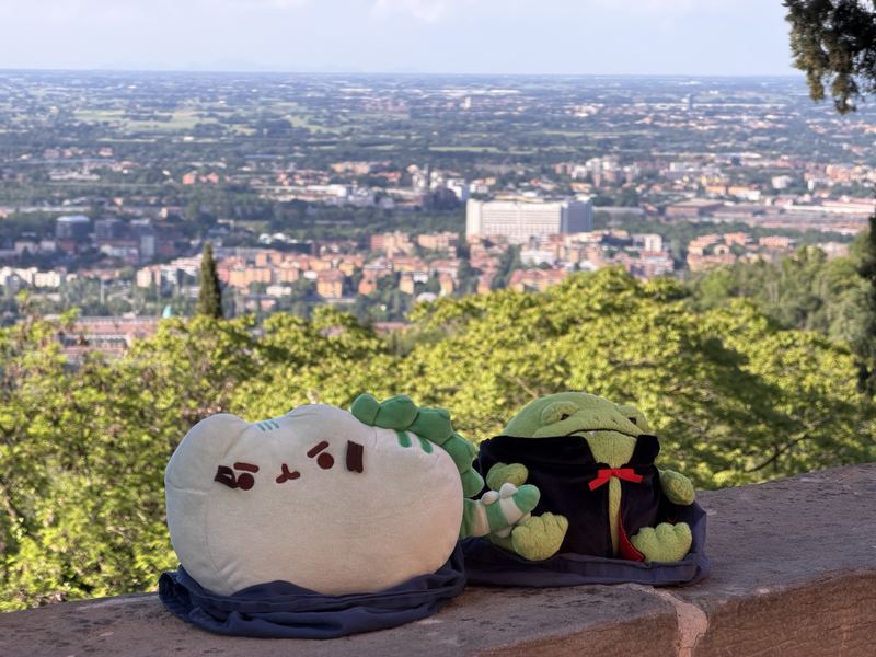 Pusheeno and Ricky on a stone wall looking out over the rooftops of Bologna
