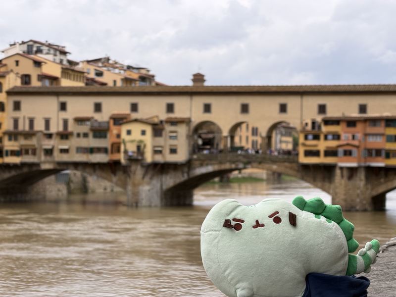 Pusheeno in front of the Ponte Vecchio over a muddy Arno river
