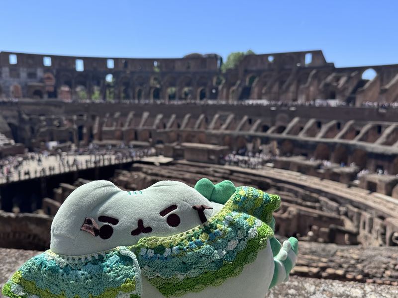 Pusheeno in his crocheted collar in front of the arena of the Colosseum