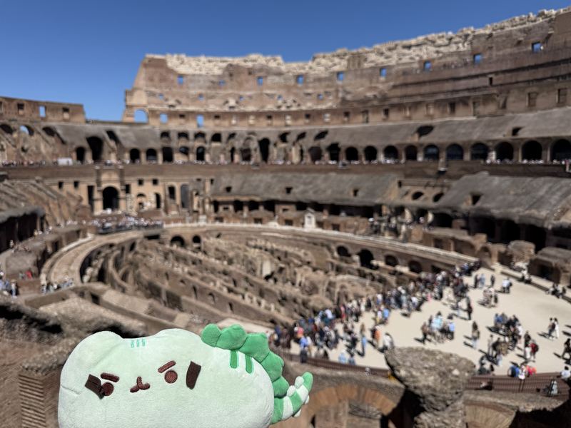 Pusheeno on the upper level of the Colosseum, looking down over the arena and the crowds