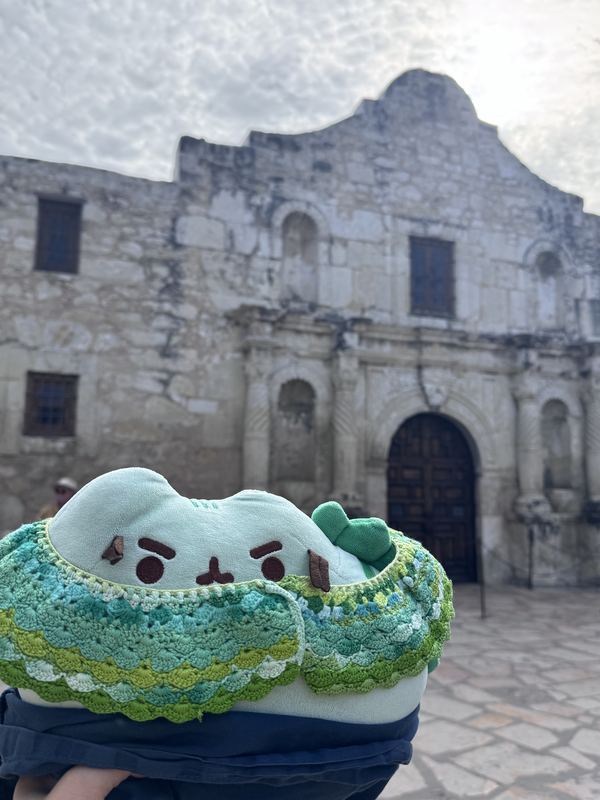 Pusheeno in his crocheted collar in front of the stone facade of the Alamo