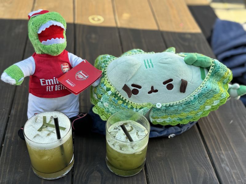 Gunnersaurus and Pusheeno in his crocheted collar on a picnic table with two iced pandan drinks