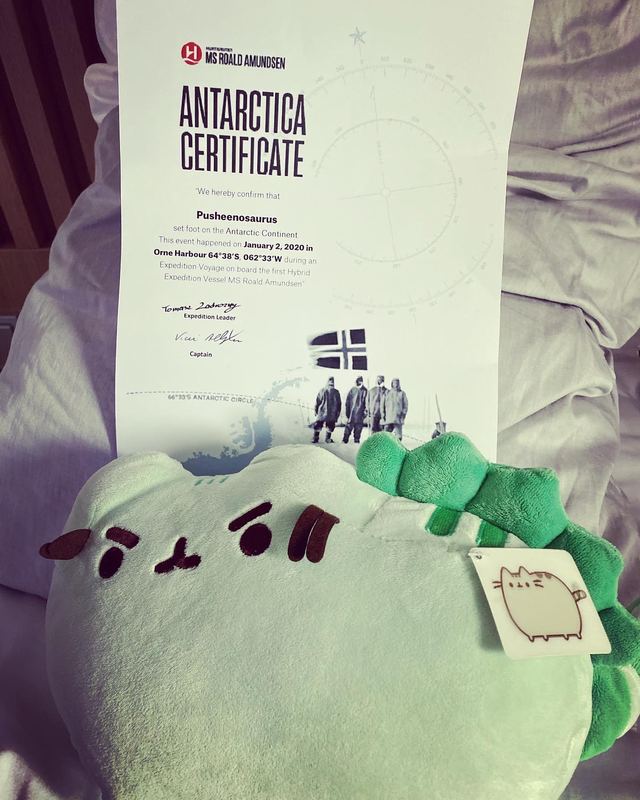 Pusheeno in front of an Antarctica certificate confirming that Pusheenosaurus set foot on the continent at Orne Harbour on January 2, 2020