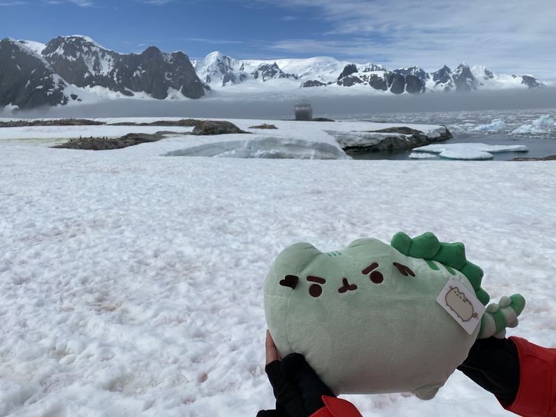 Pusheeno held up over a snowfield in Antarctica, with penguins on the rocks, icebergs, and an expedition ship in the fog beneath snowy peaks