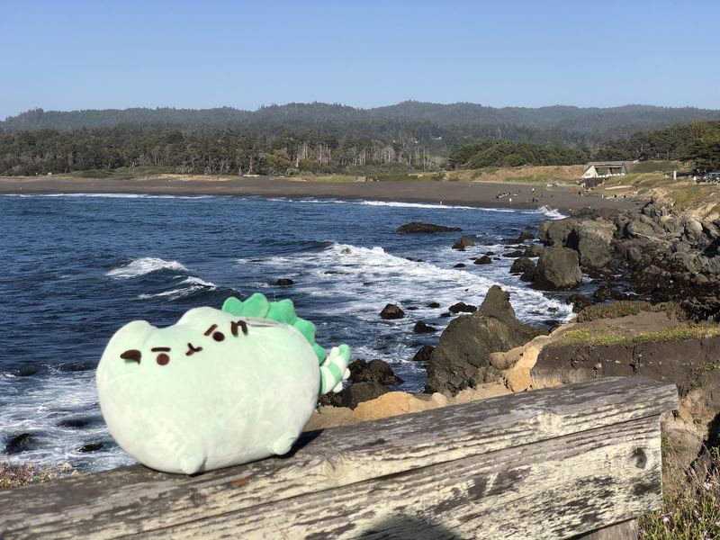 Pusheeno on a weathered wooden bench above a rocky cove, with waves, a dark sand beach and forested hills behind