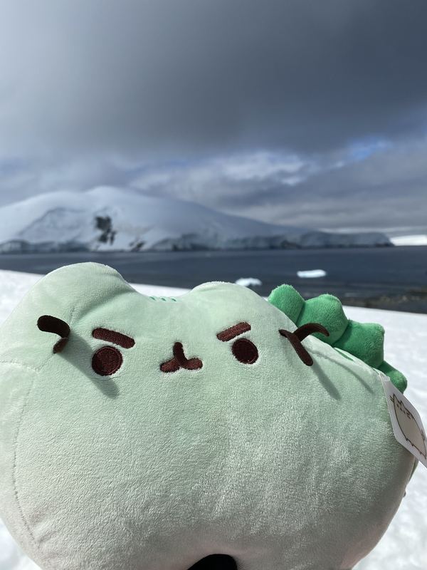 Close-up of Pusheeno’s face against a dark Antarctic sky, snow-covered mountains and icebergs behind