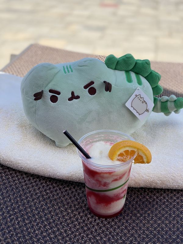 Pusheeno on a towel on a pool lounger behind a frozen strawberry drink with an orange slice
