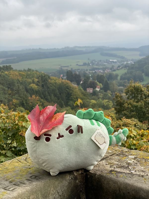 Pusheeno on a lichen-covered stone wall with a red autumn leaf on his head, overlooking a wooded valley and village
