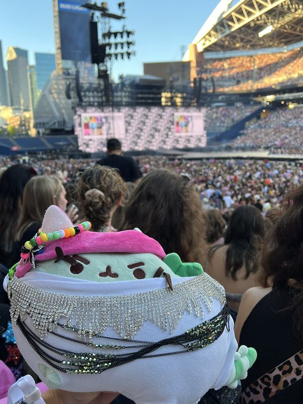 Pusheeno dressed in a white outfit with rhinestone fringe, a pink hood and bead bracelets, held up over a stadium crowd facing the stage