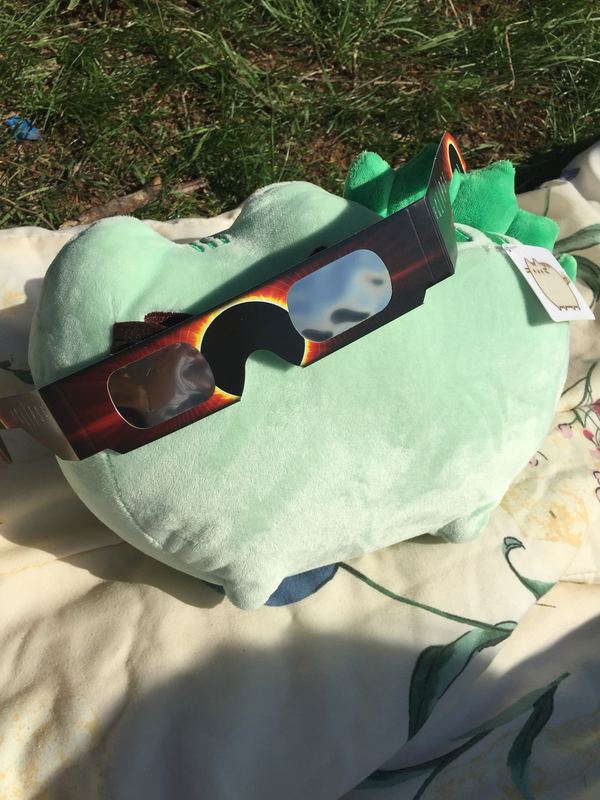 Pusheeno lying on a floral blanket on the grass, wearing cardboard eclipse glasses