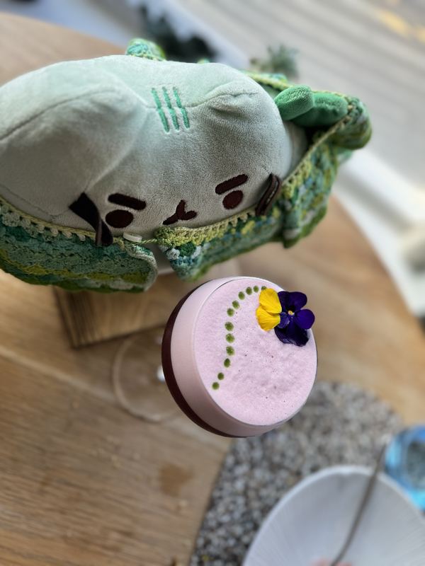 Pusheeno in his crocheted collar seen from above, beside a pink drink topped with yellow and purple pansies