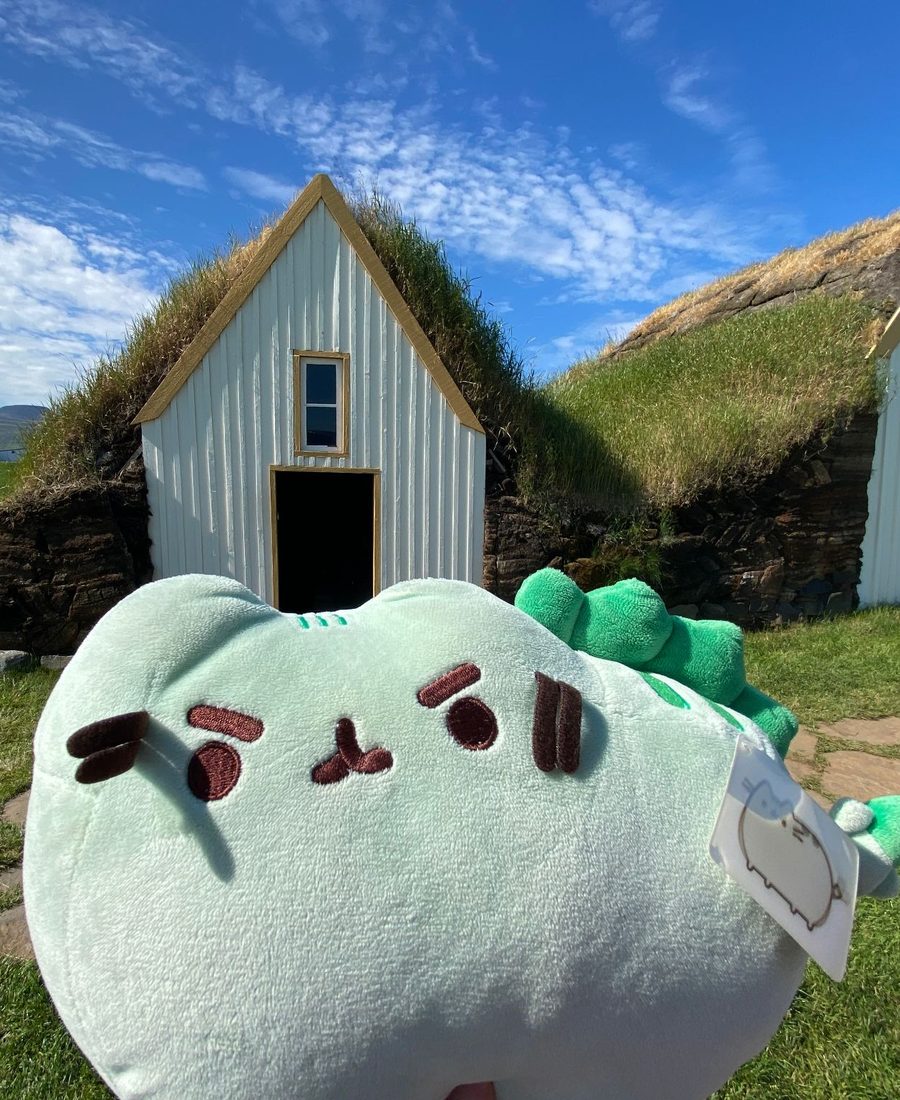 Pusheeno, a mint-green dinosaur-cat plush with a very serious face, in front of two turf-roofed houses